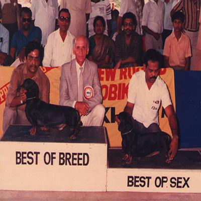 Plants: image 1 0f 4 thumb