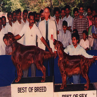 Plants: image 1 0f 4 thumb