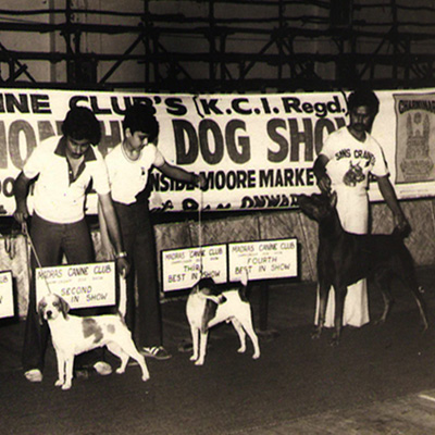 Plants: image 1 0f 4 thumb