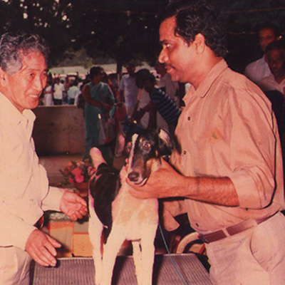 Plants: image 1 0f 4 thumb