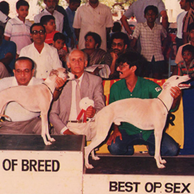 Plants: image 1 0f 4 thumb