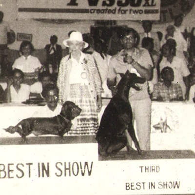 Plants: image 1 0f 4 thumb