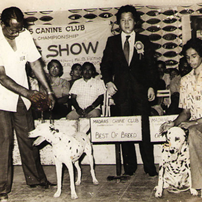 Plants: image 1 0f 4 thumb