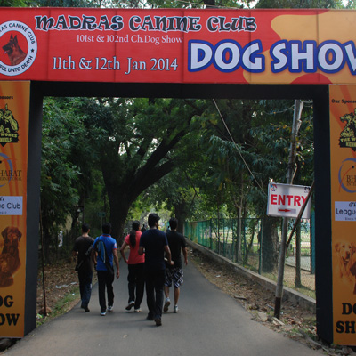 Plants: image 1 0f 4 thumb