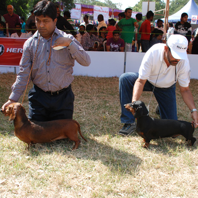 Plants: image 1 0f 4 thumb