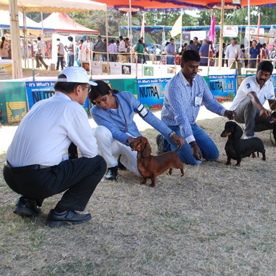 Plants: image 1 0f 4 thumb