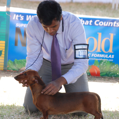 Plants: image 1 0f 4 thumb