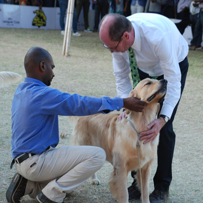 Plants: image 1 0f 4 thumb