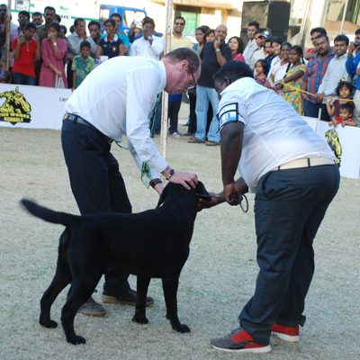 Plants: image 1 0f 4 thumb