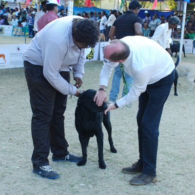 Plants: image 1 0f 4 thumb