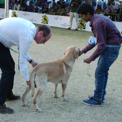 Plants: image 1 0f 4 thumb