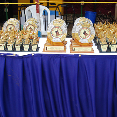 Plants: image 1 0f 4 thumb