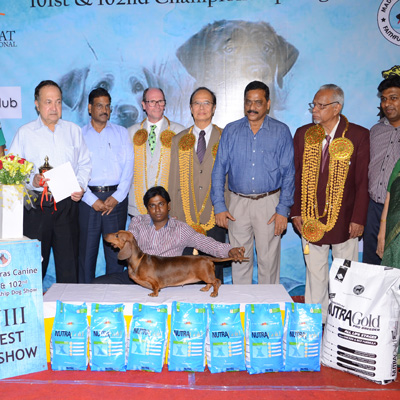 Plants: image 1 0f 4 thumb