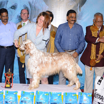 Plants: image 1 0f 4 thumb