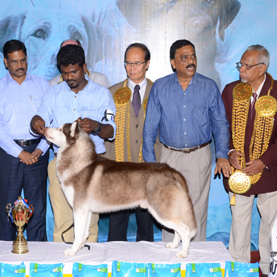 Plants: image 1 0f 4 thumb