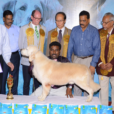 Plants: image 1 0f 4 thumb