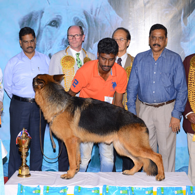 Plants: image 1 0f 4 thumb