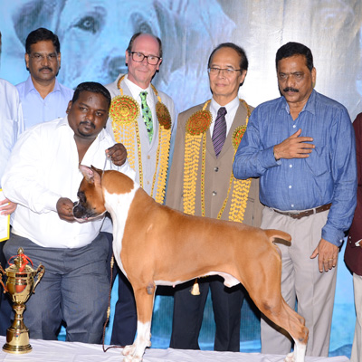 Plants: image 1 0f 4 thumb