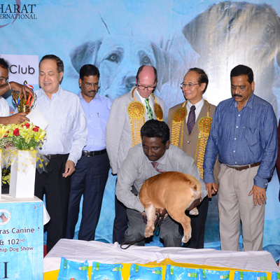 Plants: image 1 0f 4 thumb