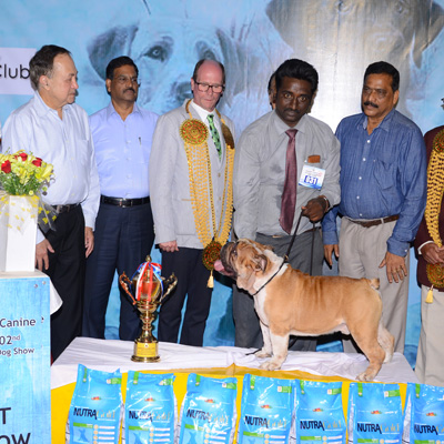 Plants: image 1 0f 4 thumb