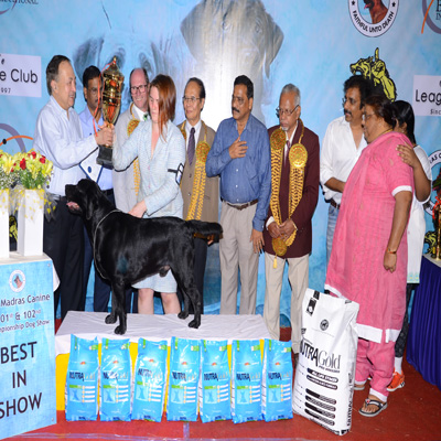 Plants: image 1 0f 4 thumb