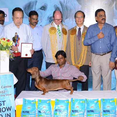 Plants: image 1 0f 4 thumb