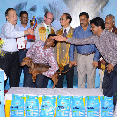 Plants: image 1 0f 4 thumb