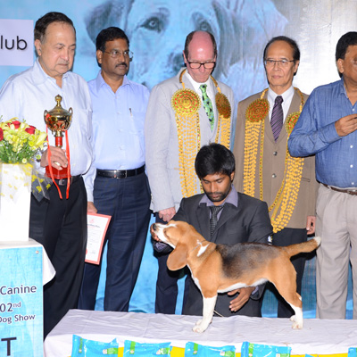 Plants: image 1 0f 4 thumb