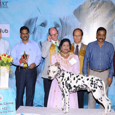 Plants: image 1 0f 4 thumb