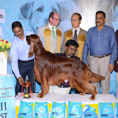 Plants: image 1 0f 4 thumb