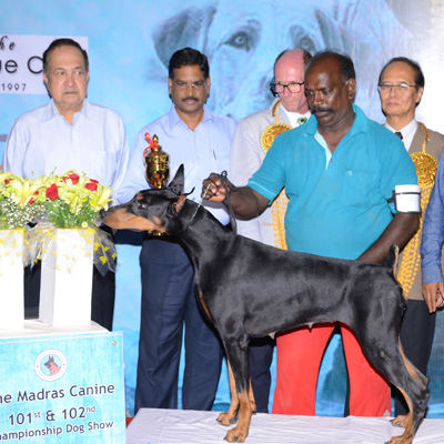 Plants: image 1 0f 4 thumb