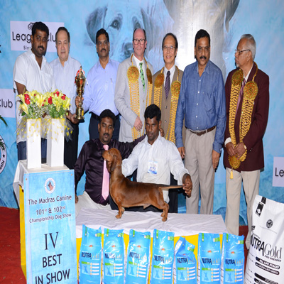 Plants: image 1 0f 4 thumb