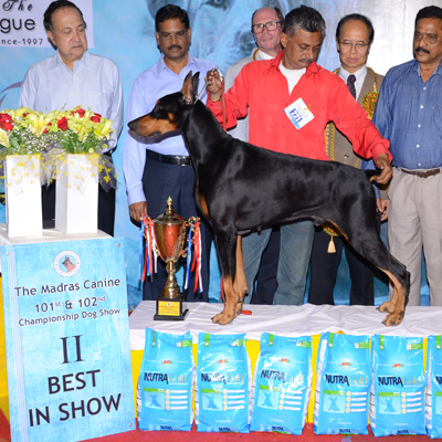 Plants: image 1 0f 4 thumb