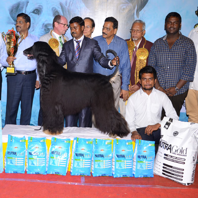 Plants: image 1 0f 4 thumb