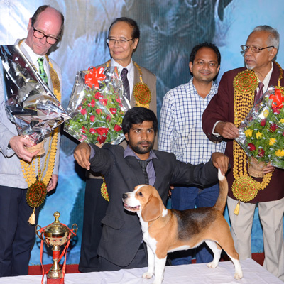 Plants: image 1 0f 4 thumb