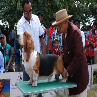 Plants: image 1 0f 4 thumb