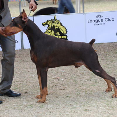 Plants: image 1 0f 4 thumb