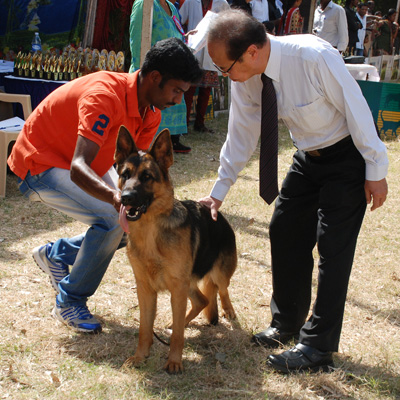 Plants: image 1 0f 4 thumb