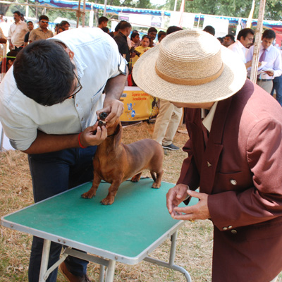 Plants: image 1 0f 4 thumb