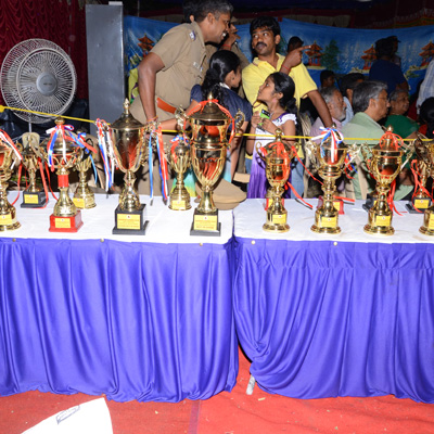 Plants: image 1 0f 4 thumb