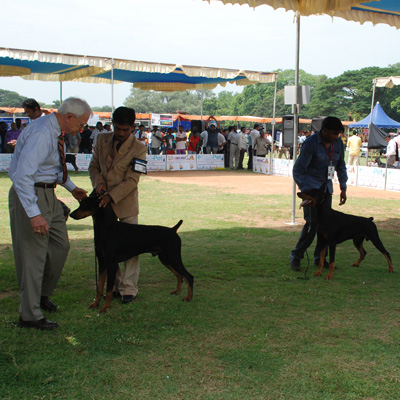 Plants: image 1 0f 4 thumb