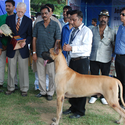 Plants: image 1 0f 4 thumb