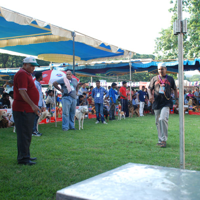 Plants: image 1 0f 4 thumb