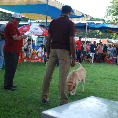 Plants: image 1 0f 4 thumb