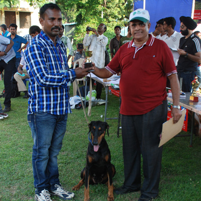 Plants: image 1 0f 4 thumb