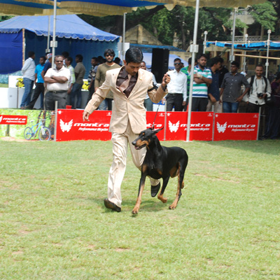 Plants: image 1 0f 4 thumb