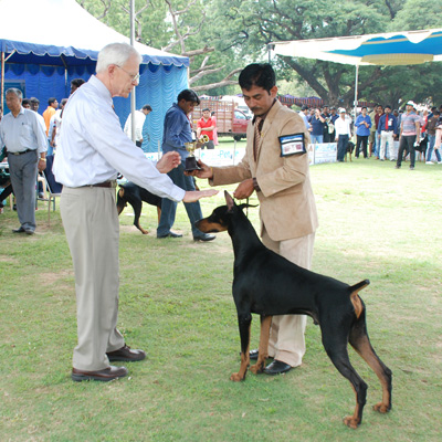 Plants: image 1 0f 4 thumb