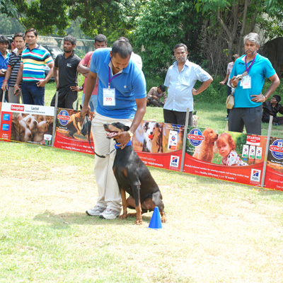 Plants: image 1 0f 4 thumb