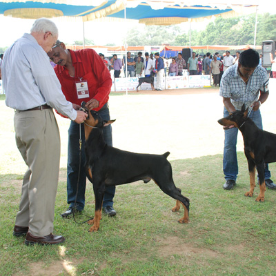 Plants: image 1 0f 4 thumb