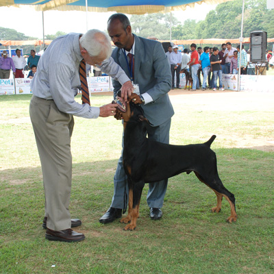 Plants: image 1 0f 4 thumb